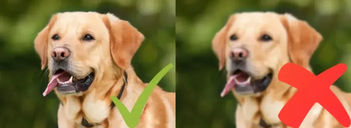 Timanttimaalaus omalla kuvalla - Kuinka valita täydellinen kuva ja koko