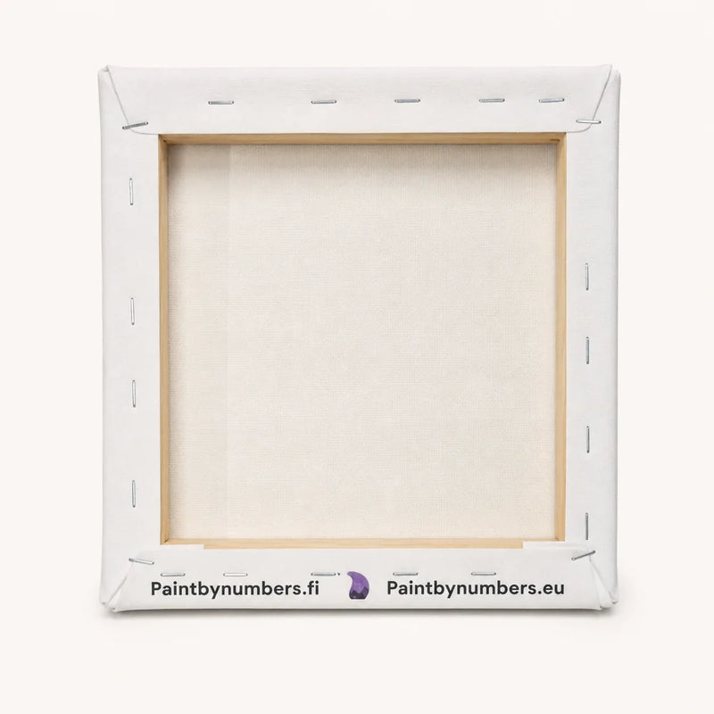 20x20 cm numeromaalauskangas valmiiksi pingotettuna puiselle kiilakehykselle – taustapuoli