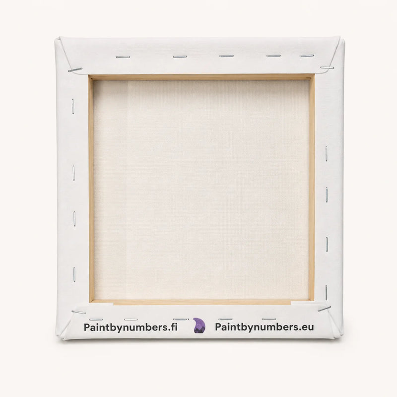 20x20 cm numeromaalauskangas valmiiksi pingotettuna puiselle kiilakehykselle – taustapuoli