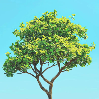 Tree 40x40cm timanttimaalaus
