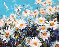 Thumbnail for Iloinen ja kesäinen näkymä valkoisista päivänkakkaroista kirkasta sinistä taivasta vasten.