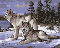Thumbnail for Kaksi sutta talvisessa maisemassa järven rannalla