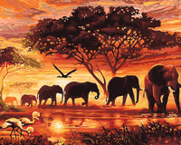 Thumbnail for Auringonlaskussa kulkeva norsuperhe savannilla, taustalla siluettipuita ja lintuja oranssinpunaisessa maisemassa – paint by numbers -maalaus.