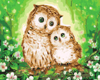 Thumbnail for Kaksi suurisilmäistä pöllöä vierekkäin vihreässä kukkivassa metsässä, toinen nojaa hellyttävästi toiseen – paint by numbers -maalaus.