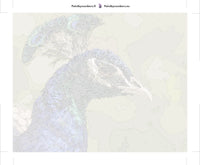 Thumbnail for Paint by numbers canvas - Peacock Head Profile
