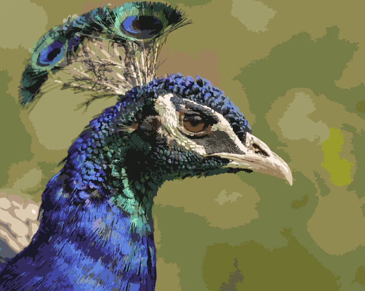 Riikinkukon profiili numeromaalaus - upea lintu vihreällä taustalla