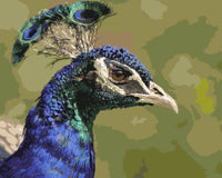 Thumbnail for Riikinkukon profiili numeromaalaus - upea lintu vihreällä taustalla