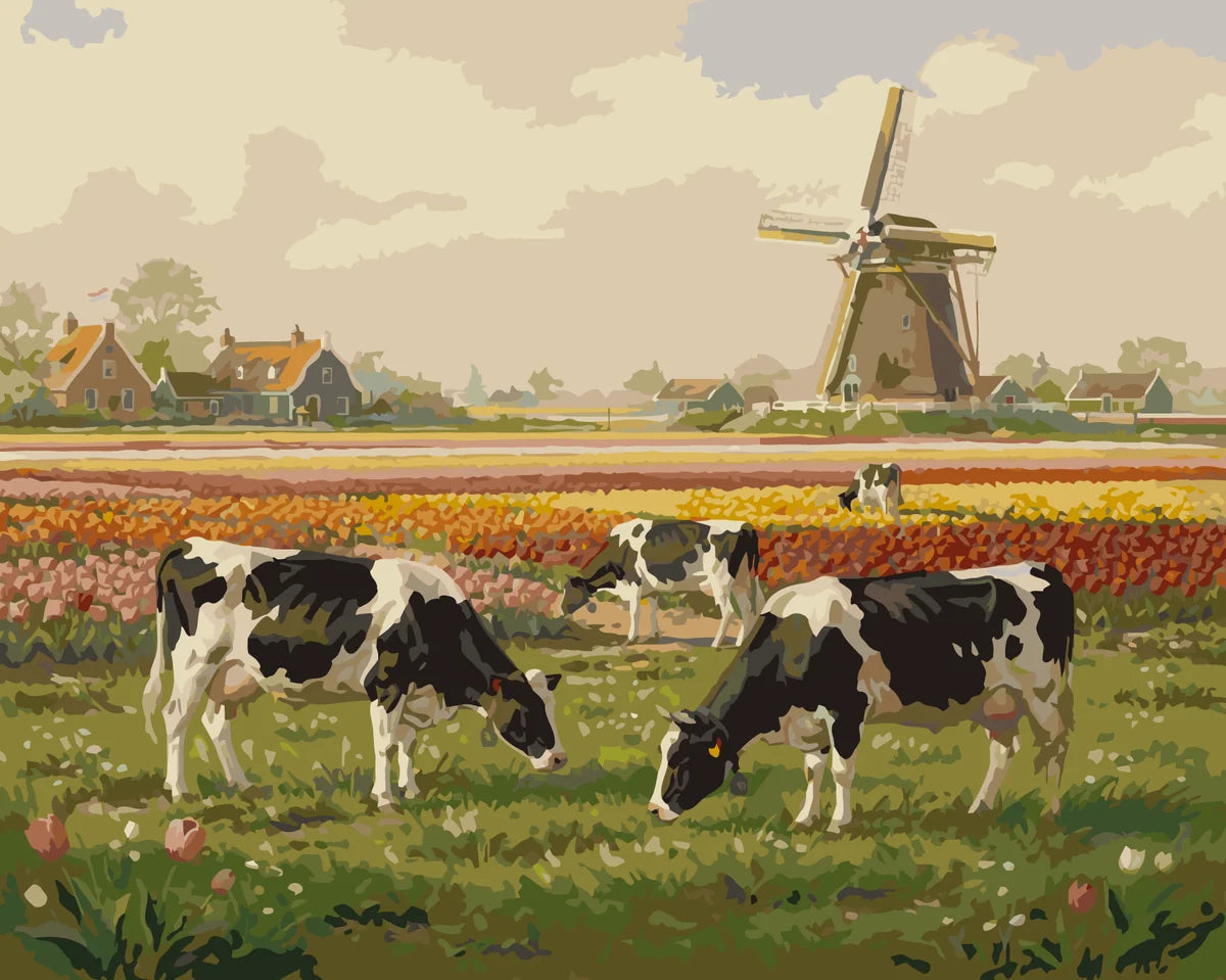 Lehmät ja tuulimylly numeromaalaus - kaunis hollantilainen maisema kukkivilla pelloilla.