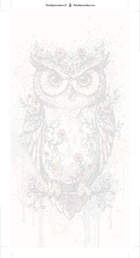 Thumbnail for Paint by numbers canvas - Owl with Flowers