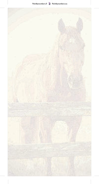 Thumbnail for Hevonen numeromaalaus pakkaus