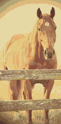 Thumbnail for Hevonen numeromaalaus lähikuva