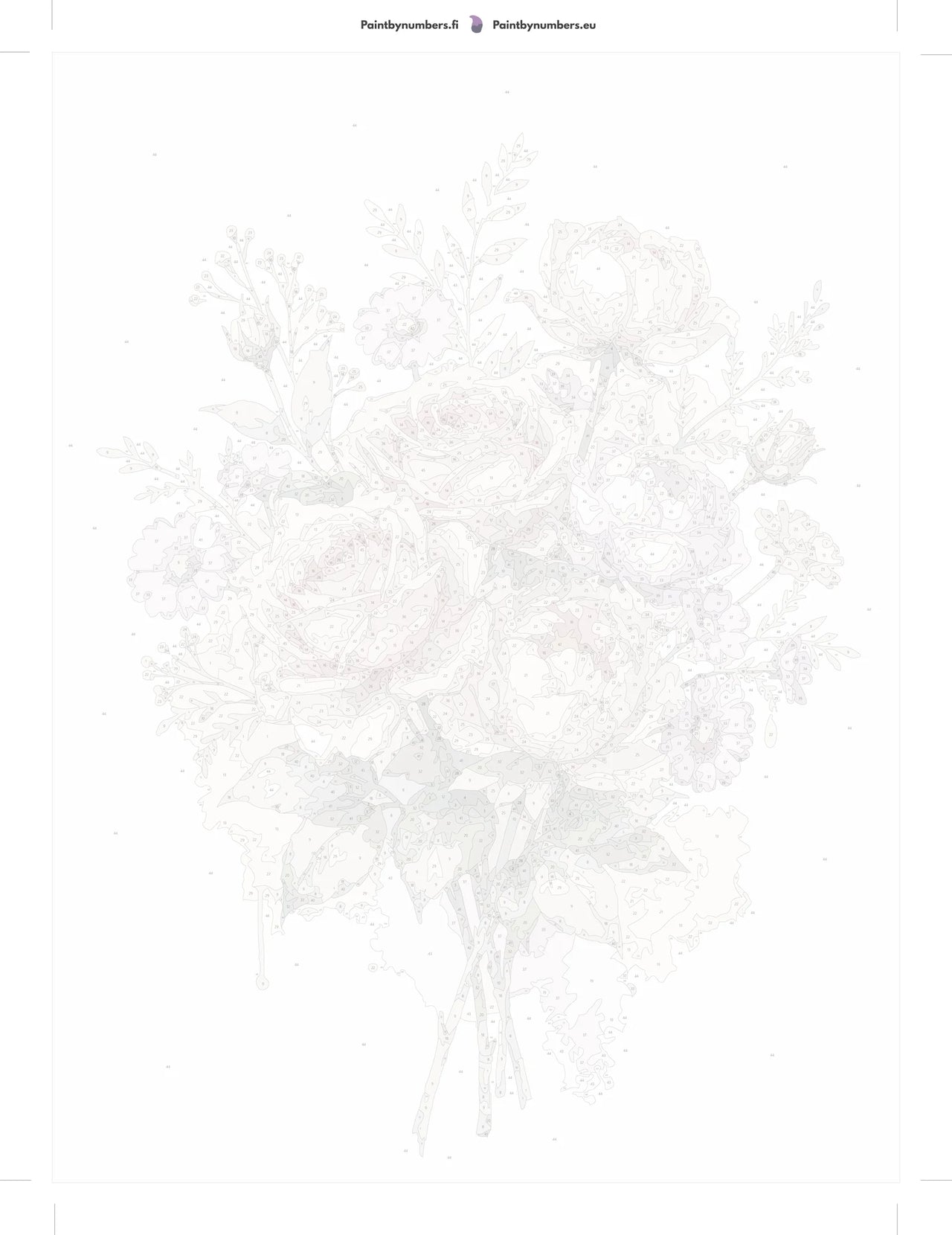 Ruusu numeromaalaus pakkaus