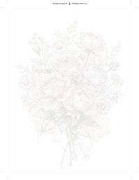 Thumbnail for Ruusu numeromaalaus pakkaus