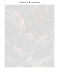 Thumbnail for Asteroidit avaruus numeromaalaus pakkaus