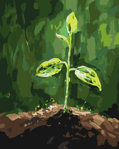 Grounded Beginnings numeromaalaus – luonnon alku