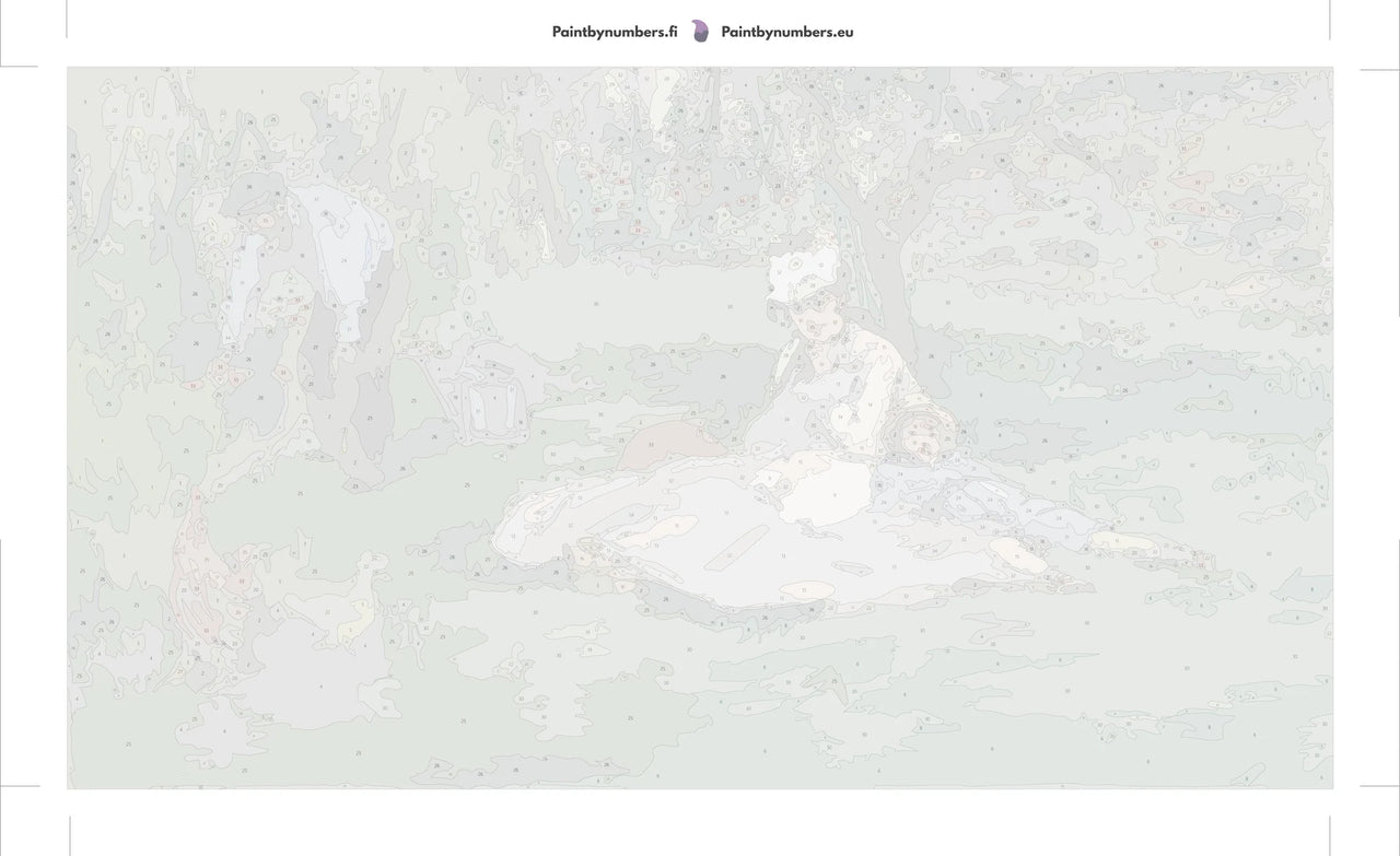 Paint by numbers canvas - Poppies