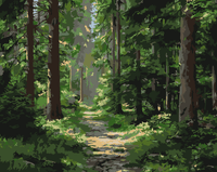 Thumbnail for Numeromaalaus, jossa vehreä metsäpolku kulkee korkeiden puiden keskellä.