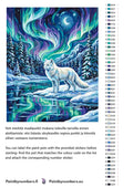 Thumbnail for Värikartta ja ohjeet - Arctic Fox and Northern Lights 40x50cm