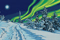 Thumbnail for Timanttikuvio - Arctic Night Sky