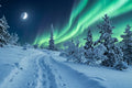 Thumbnail for Timanttimaalaus lumisesta metsästä, revontulista ja kuutamosta.