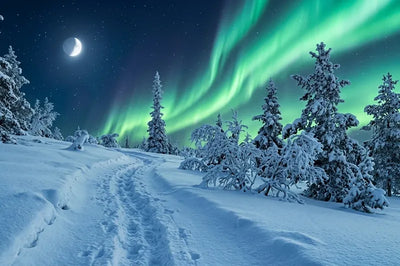 Timanttimaalaus lumisesta metsästä, revontulista ja kuutamosta.
