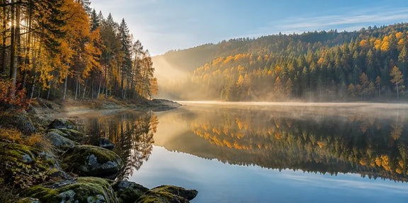 Timanttimaalaus syksyisestä metsästä ja järvestä sumuisessa aamussa.