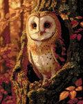 Thumbnail for Timanttikuvio - Barn Owl in Autumn
