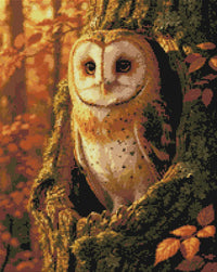 Thumbnail for Timanttikuvio - Barn Owl in Autumn