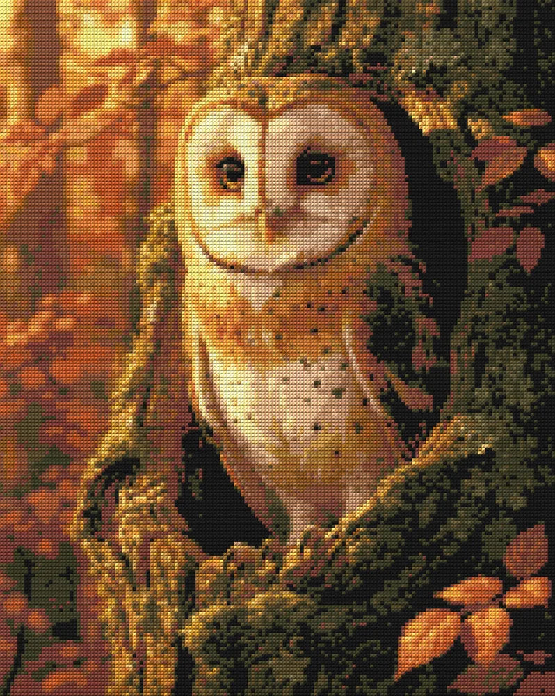 Timanttikuvio - Barn Owl in Autumn