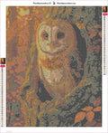 Thumbnail for Barn Owl in Autumn timanttimaalauksen liimapintainen canvas 40x50cm