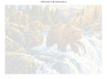 Thumbnail for Numeromaalaus: Numeroitu kangas - Bear Cubs at the Rapids 70x50cm