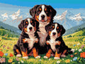Thumbnail for Timanttikuvio - Bernese Mountain Dogs