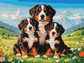 Thumbnail for Timanttikuvio - Bernese Mountain Dogs