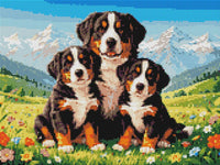 Thumbnail for Timanttikuvio - Bernese Mountain Dogs