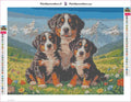 Thumbnail for Bernese Mountain Dogs timanttimaalauksen liimapintainen canvas 40x30cm