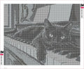 Thumbnail for Black Cat on the Piano Keys timanttimaalauksen liimapintainen canvas 50x40cm