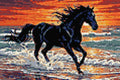 Thumbnail for Timanttikuvio - Black Horse at Sunset