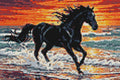 Thumbnail for Timanttikuvio - Black Horse at Sunset