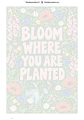 Thumbnail for Numeromaalaus: Numeroitu kangas - Bloom Where You Are Planted 40x60cm