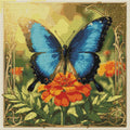 Thumbnail for Timanttikuvio - Blue Butterfly and Marigold