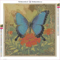 Thumbnail for Blue Butterfly and Marigold timanttimaalauksen liimapintainen canvas 40x40cm