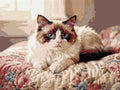 Thumbnail for Timanttikuvio - Blue-Eyed Cat