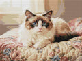 Thumbnail for Timanttikuvio - Blue-Eyed Cat