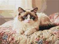 Thumbnail for Timanttikuvio - Blue-Eyed Cat