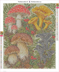 Thumbnail for Botanical Mushroom Plate timanttimaalauksen liimapintainen canvas 40x50cm