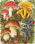Thumbnail for Botanical Mushroom Plate, 40x50 cm timanttimaalaus – lopullisen kuvion esikatselu