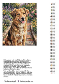 Thumbnail for Värikartta ja ohjeet - Brown Dog in Garden 40x50cm