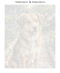 Thumbnail for Numeroitu kangas - Brown Dog in Garden 40x50cm