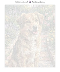 Thumbnail for Numeroitu kangas - Brown Dog in Garden 40x50cm