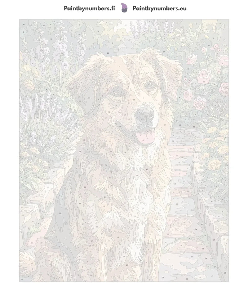Numeroitu kangas - Brown Dog in Garden 40x50cm